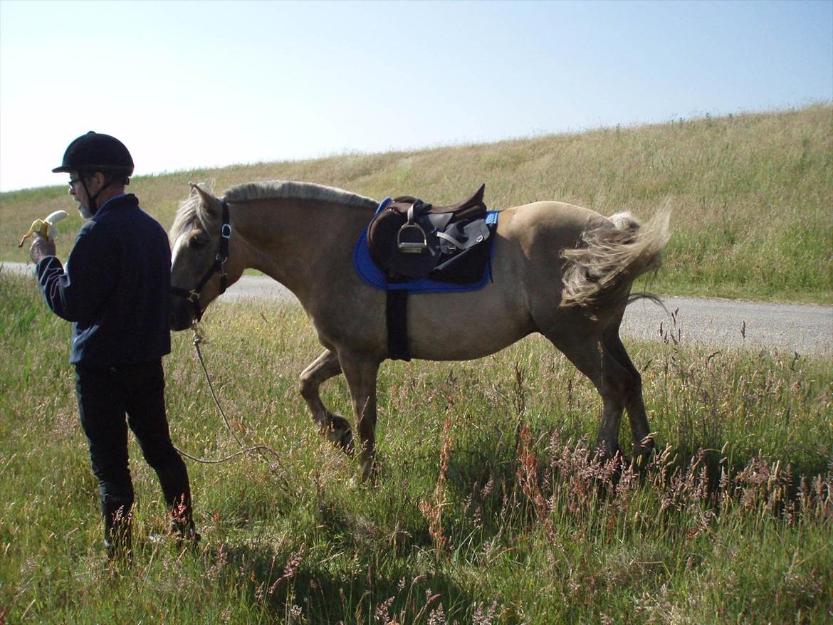 Anden særlig race RAS "Flotte fyr" - Skal vi dele frokost Mandøtur Juni 2012 billede 6