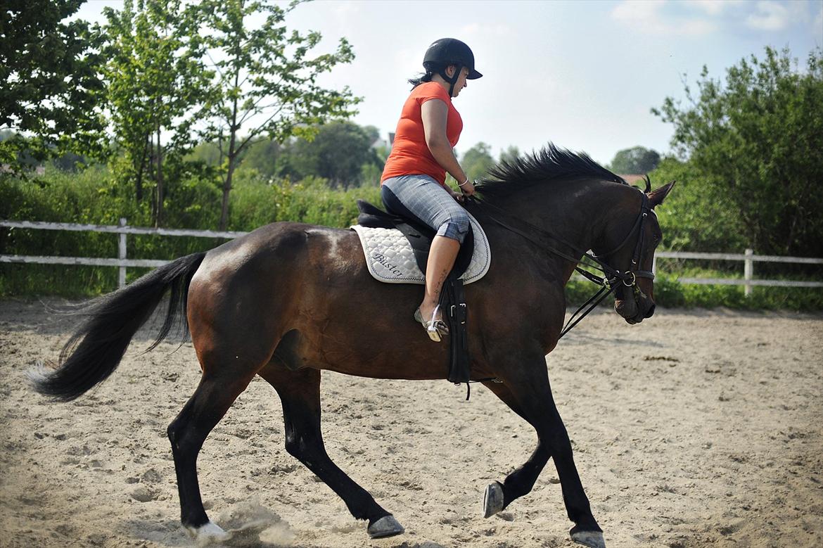 Oldenborg Markus Af Lundsager billede 5