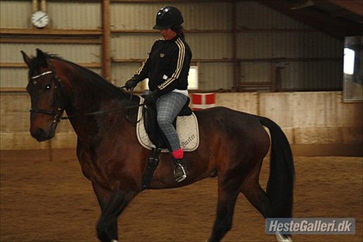 Oldenborg Markus Af Lundsager billede 12