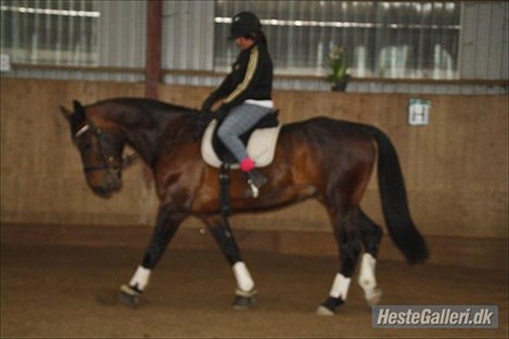 Oldenborg Markus Af Lundsager billede 13