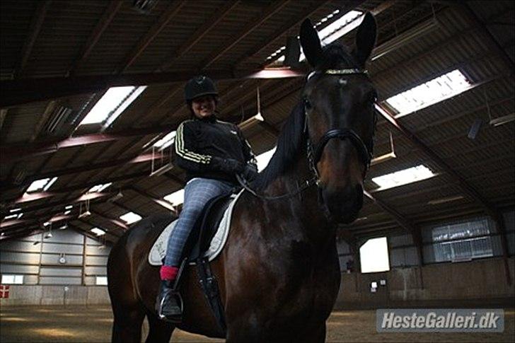 Oldenborg Markus Af Lundsager billede 17
