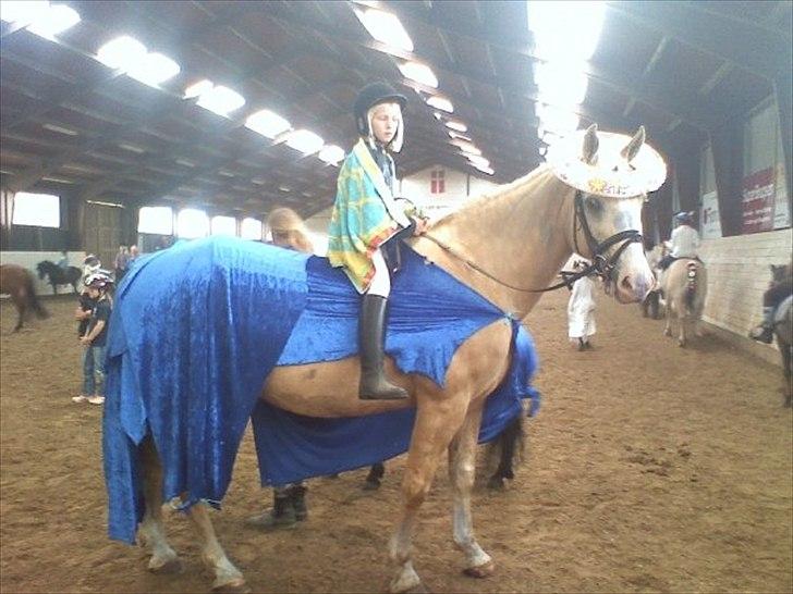Anden særlig race Valdemar af Lillevang - Savn på den gode dreng<3
Han havde egentlig svømmevinger på alle 4 men de måtte af da de andre heste/ponyer blev bange for ham. Valde var bare kold <3 billede 20