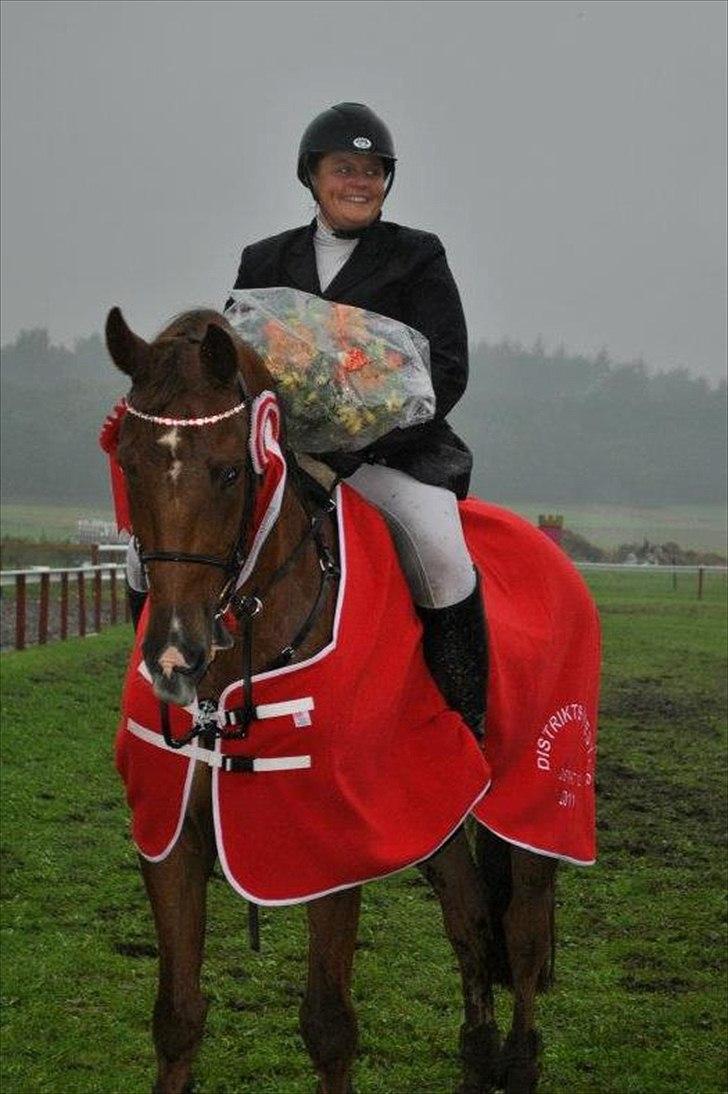 Dansk Varmblod Calliano - Calle vinder af distriktmesterskaberne for hold 2011 med Jannie billede 5