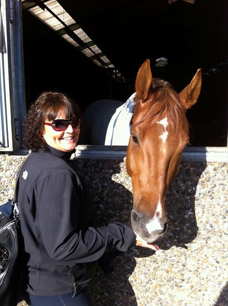 Dansk Varmblod Calliano - Calle og Jannie hygger  billede 7