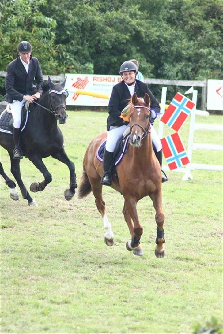 Dansk Varmblod Calliano - Calle er glaaaad!
-Med Jannie  billede 8