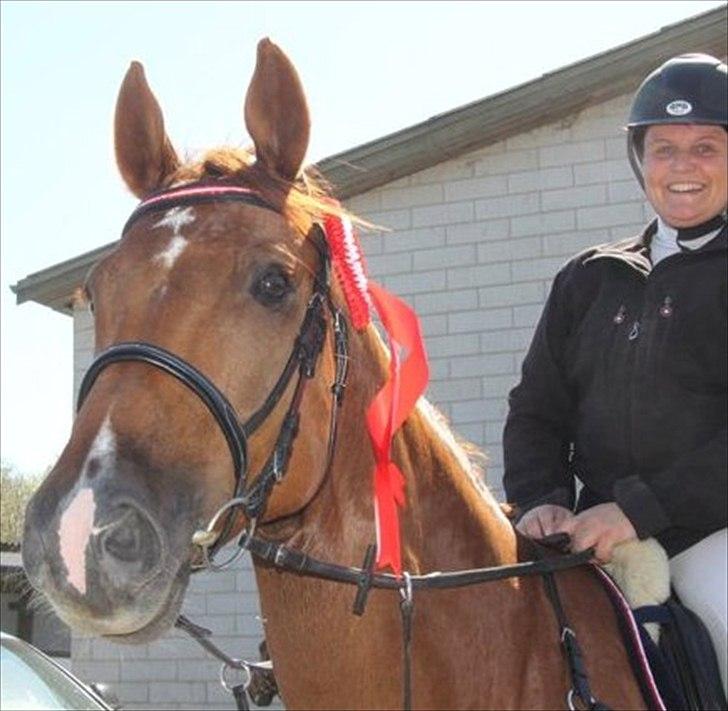 Dansk Varmblod Calliano - Vinder hest <3 
Med Jannie  billede 12