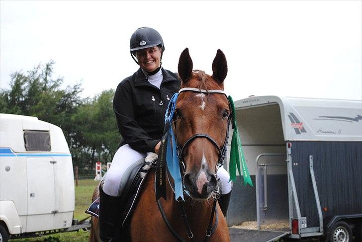 Dansk Varmblod Calliano - Calle er så dygtig!
Med Jannie  billede 17