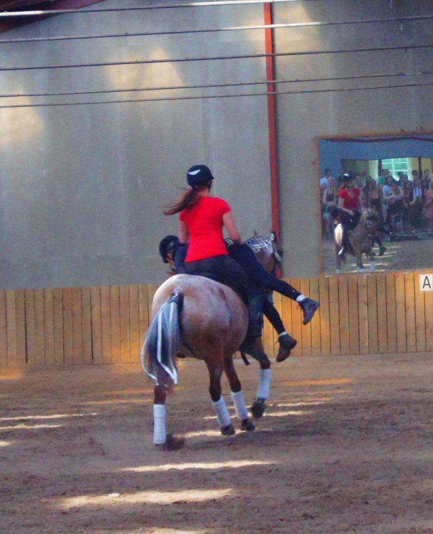 Anden særlig race Vilja Menneske Øje - 15 Opvisning på stald Rønbjerg for RE, galop med "død" Nichole hen over ryggen billede 20