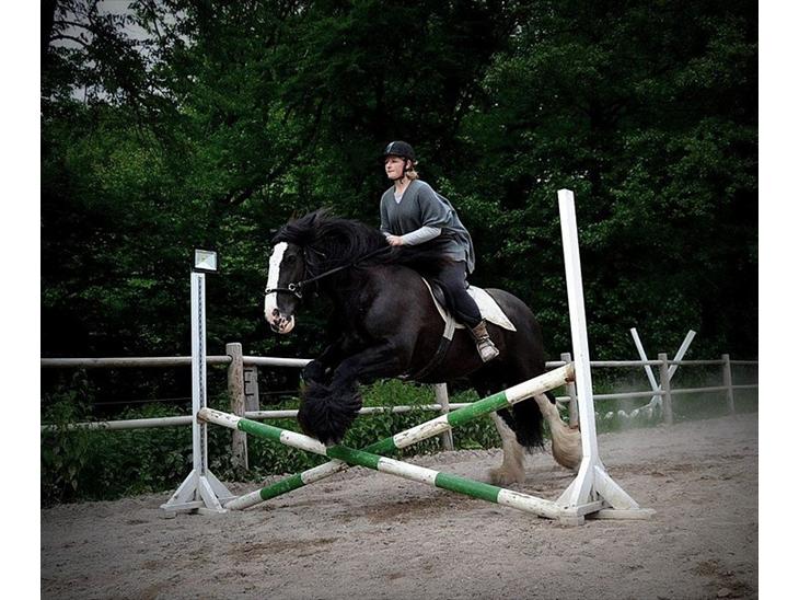 {{currentPhoto.altText}} billede {{currentPhoto.number}}