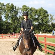 Anden særlig race Hagbard [Red engang]