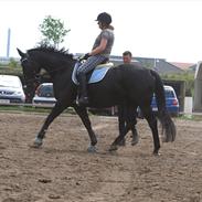 Oldenborg Clausagersgårds Mette