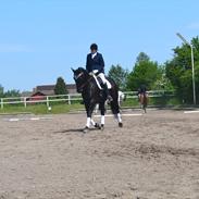 Oldenborg Clausagersgårds Mette