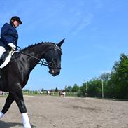 Oldenborg Clausagersgårds Mette