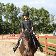 Anden særlig race Hagbard [Red engang]