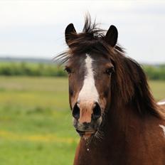 Anden særlig race ~||FRIDA||~<3