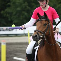 DSP Hovgaarden's Zeba