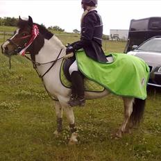 Anden særlig race Magnum<3