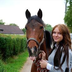 Pinto Munkeborgs Cloudy B-pony