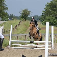 Anden særlig race Titan