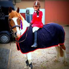 Anden særlig race Sillepigen