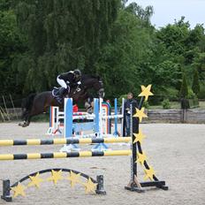 Holstener Prior's Hubert *ENGEL* <3 R.I.P 04-10-2012