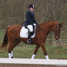 Anden særlig race jardih