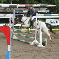 Anden særlig race Magnum<3