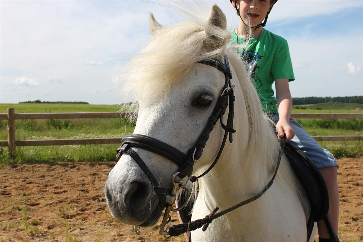 Anden særlig race Prins :* billede 6