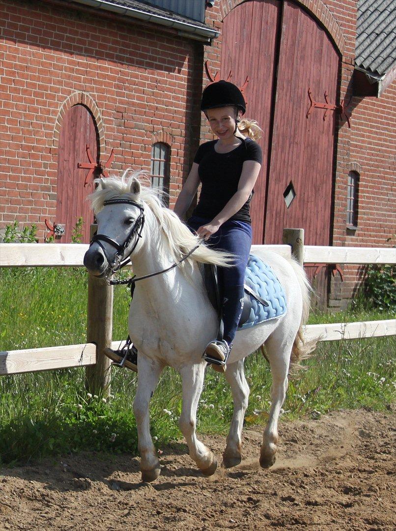 Anden særlig race Prins :* billede 1