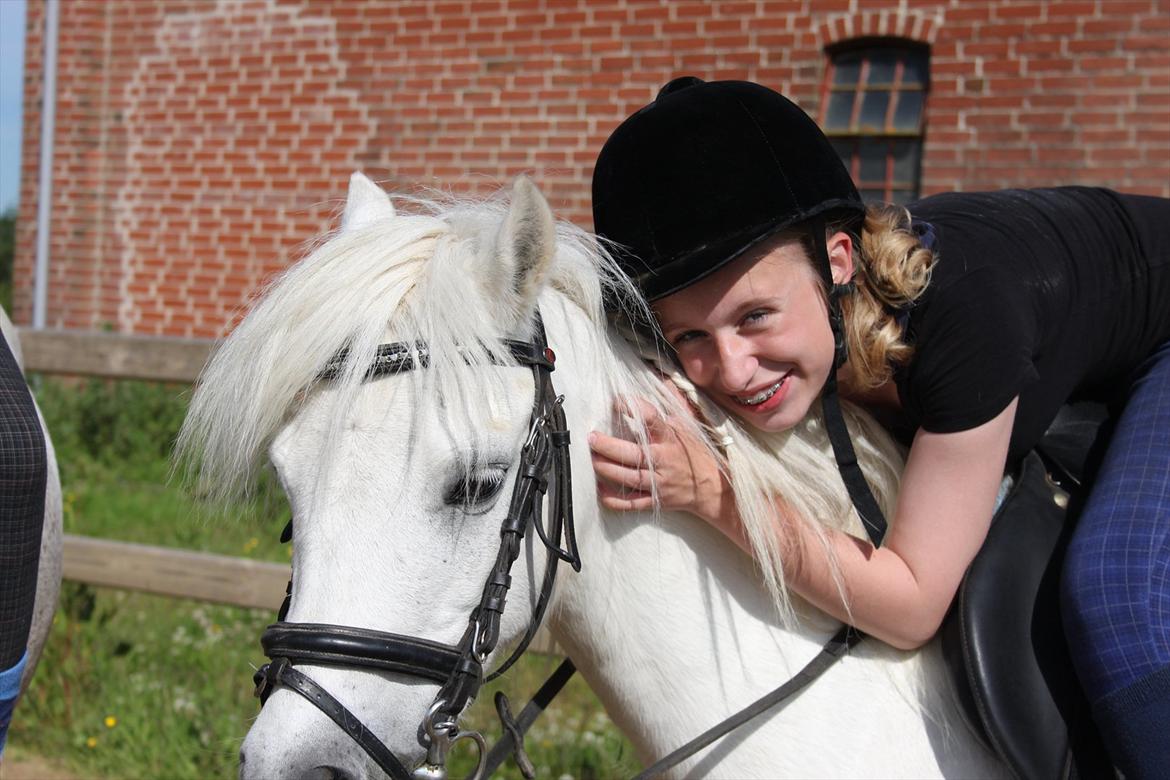 Anden særlig race Prins :* billede 11