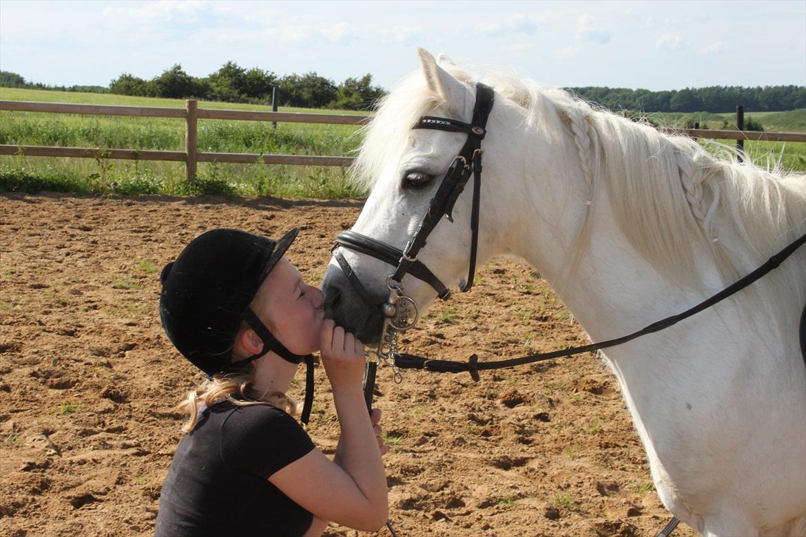 Anden særlig race Prins :* billede 12