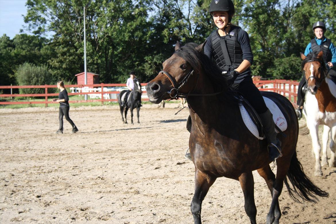 Anden særlig race Hagbard [Red engang] billede 1