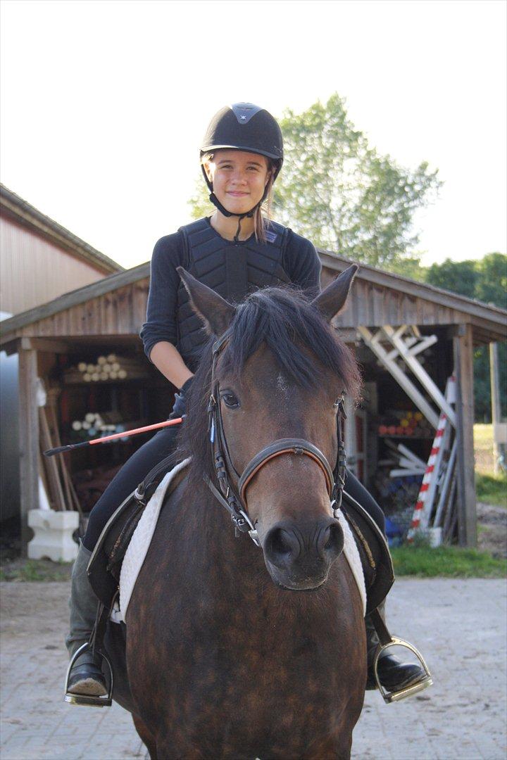 Anden særlig race Hagbard [Red engang] billede 2