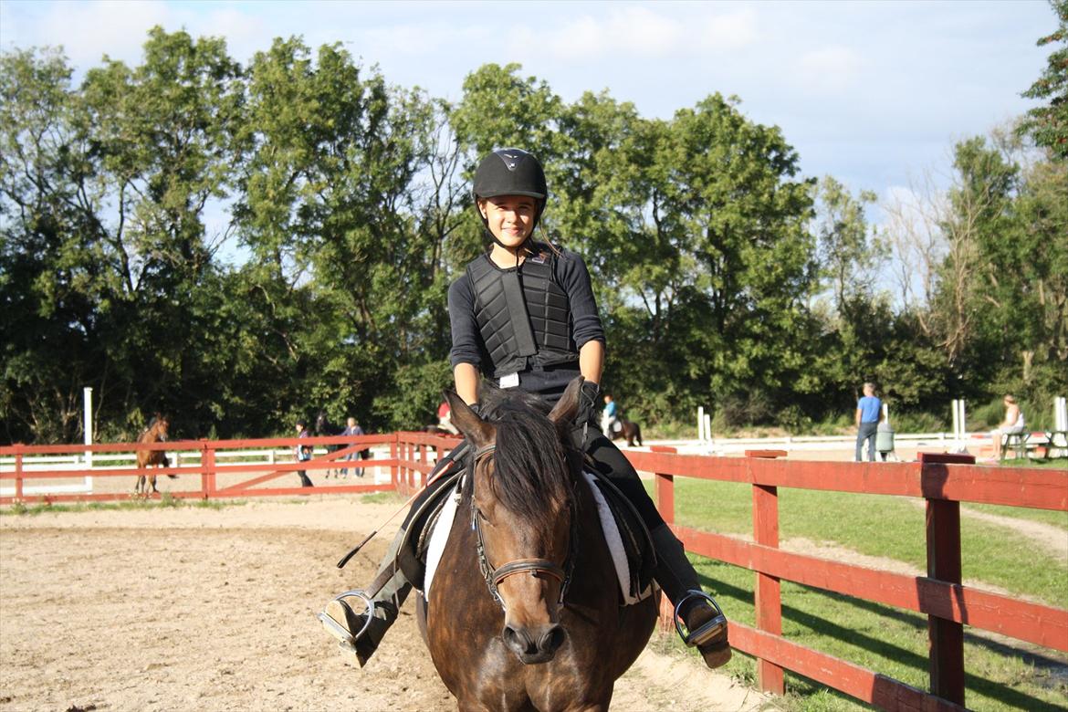 Anden særlig race Hagbard [Red engang] billede 3