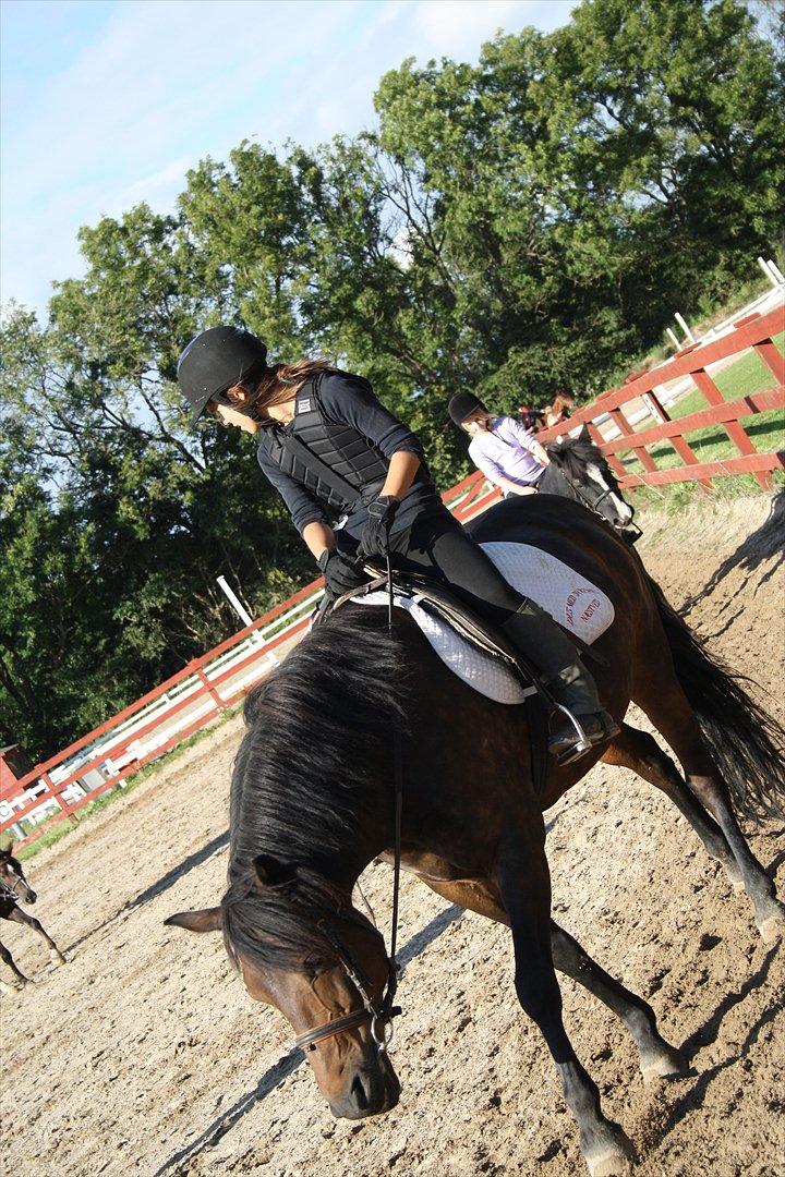 Anden særlig race Hagbard [Red engang] billede 4