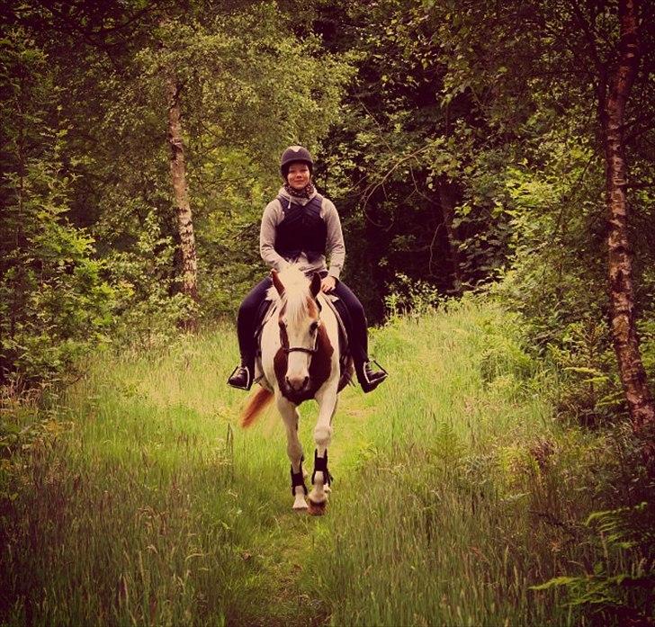 Pinto Nikita  - Niki!!! billede 18