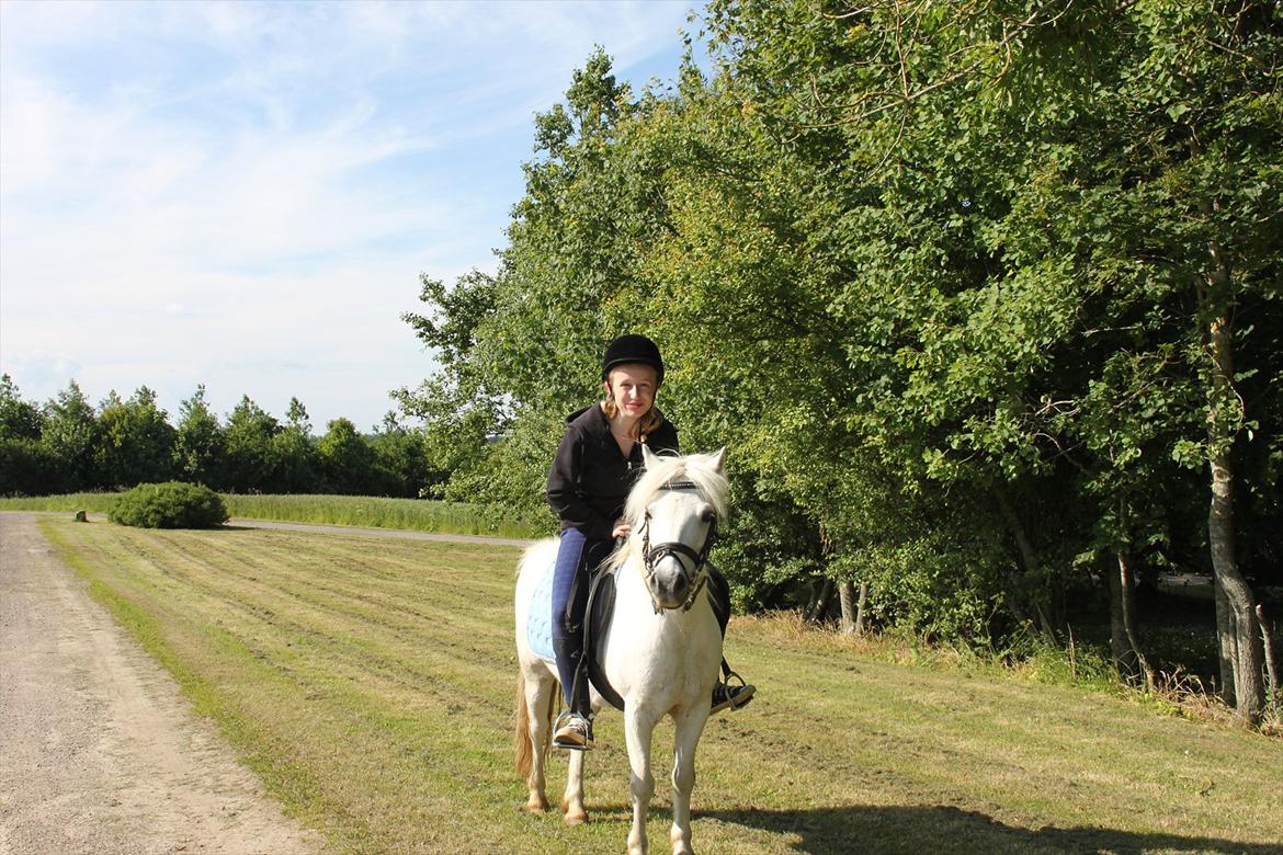 Anden særlig race Prins :* billede 20