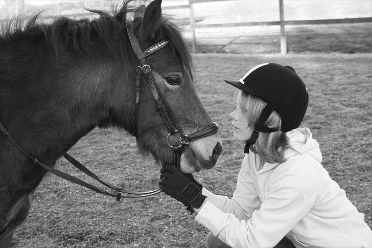 Anden særlig race Bølle Bob [Har redet] -  If I had to choose between loving you and breathing, I would use my last breath to say "I love you" 

Foto: Mor billede 18