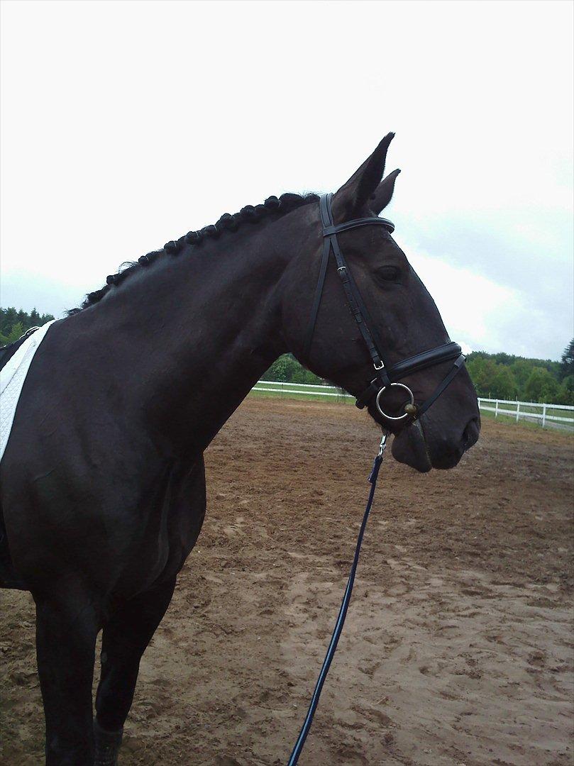 Oldenborg Maverick Mit et og alt!! :-* <3 - når vi skal se en smule godt ud ;) billede 3