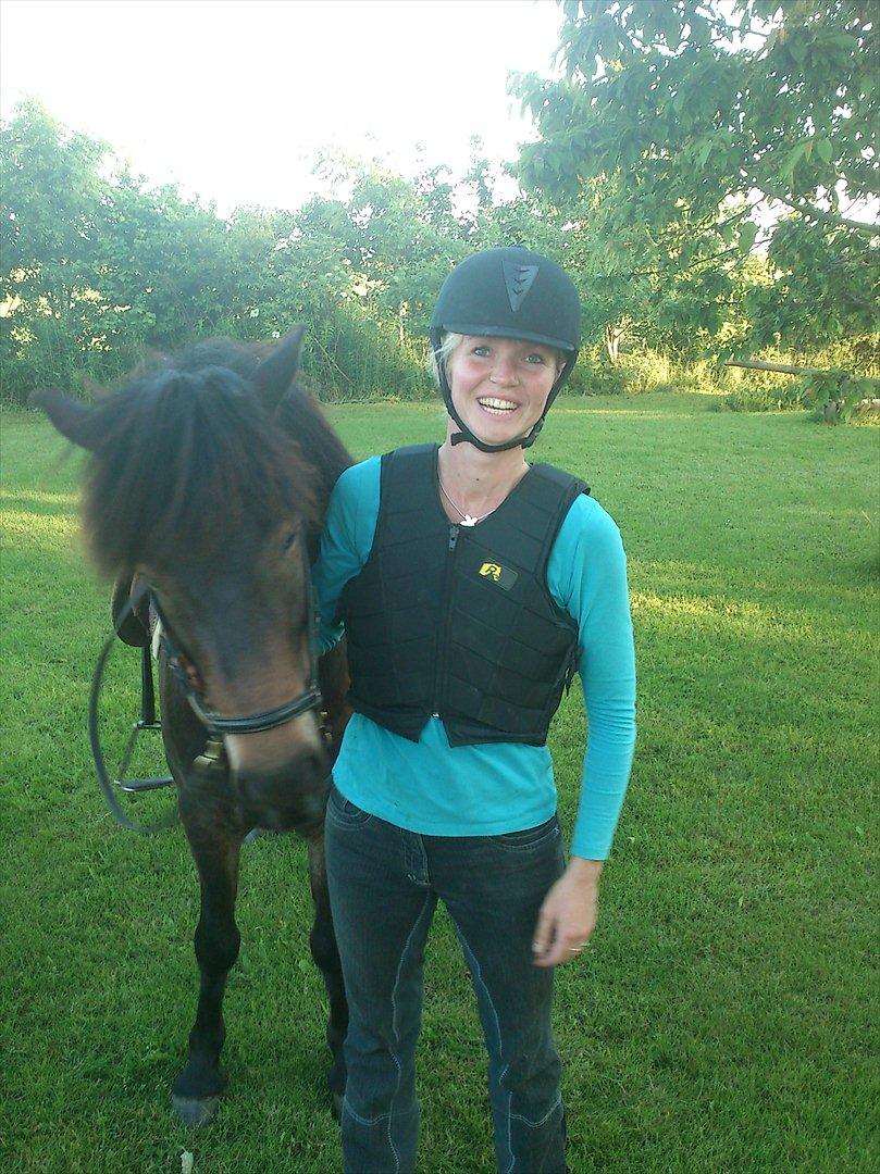 Islænder Kolfaxi fra Midtgaard billede 13