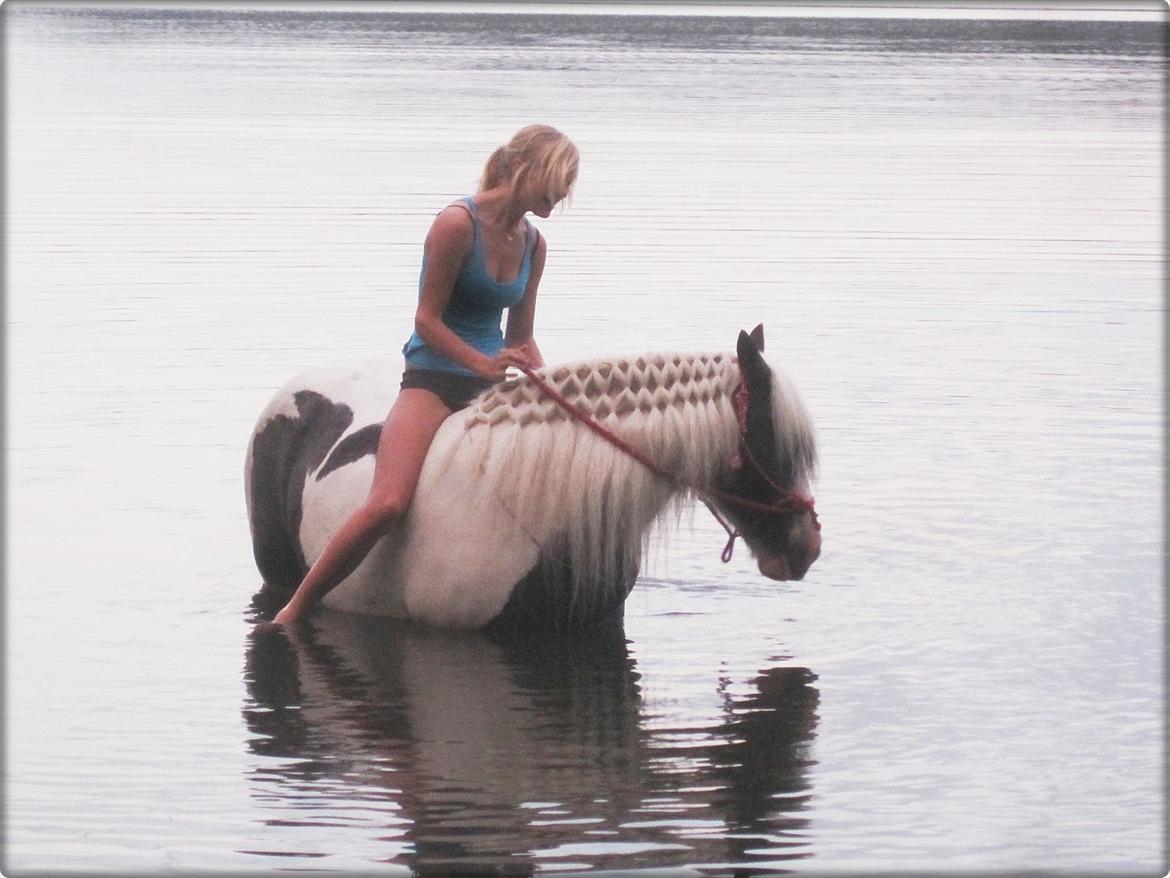 Tinker Maja - gå tur om aftenen, der blev til en strandtur sammen med verdens bedste heste og verdens bedste veninde<3 
****ingen kommentar med ridehjælmen**** billede 6