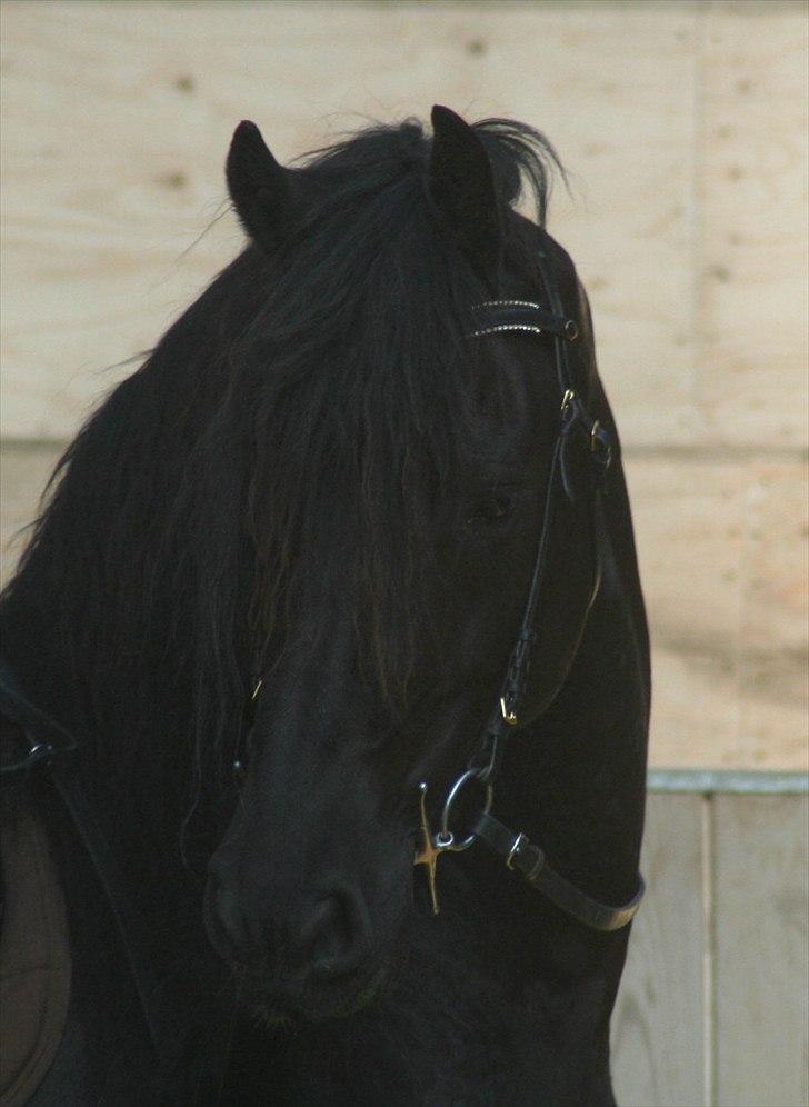 Frieser Jisk fan è Drifte billede 11