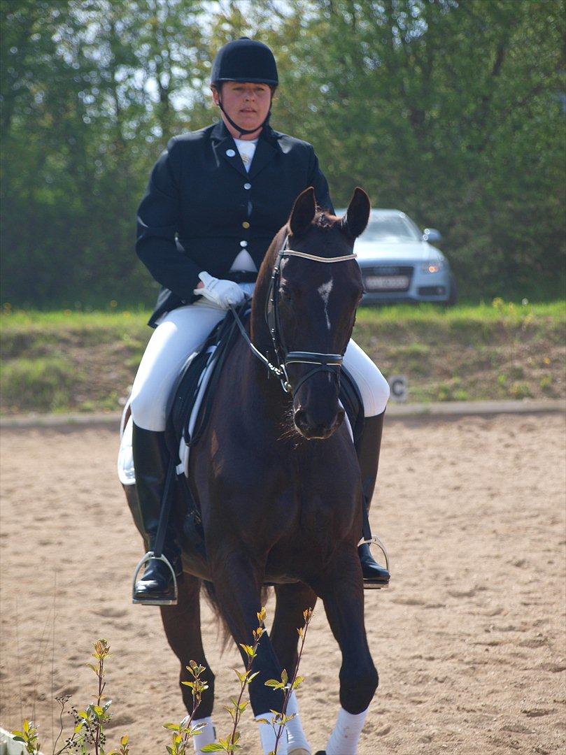 Anden særlig race †Charlie Brown R.I.P† - Mor til stævne billede 13