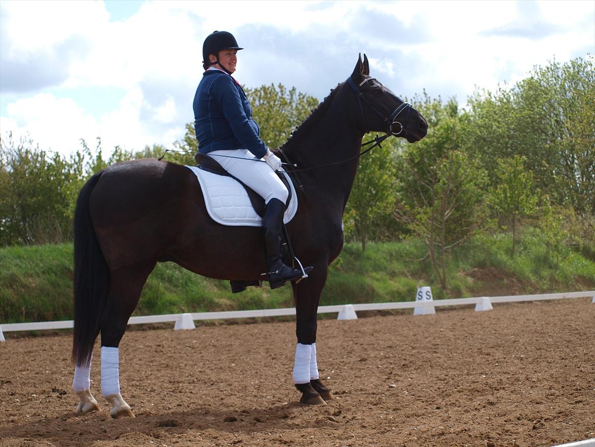 Anden særlig race †Charlie Brown R.I.P† - Mor og Charlie til stævne billede 9