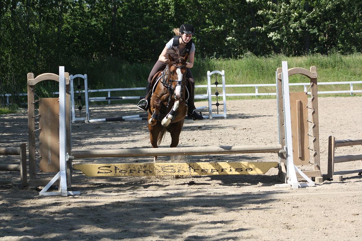 DSP Al Capone DM billede 4