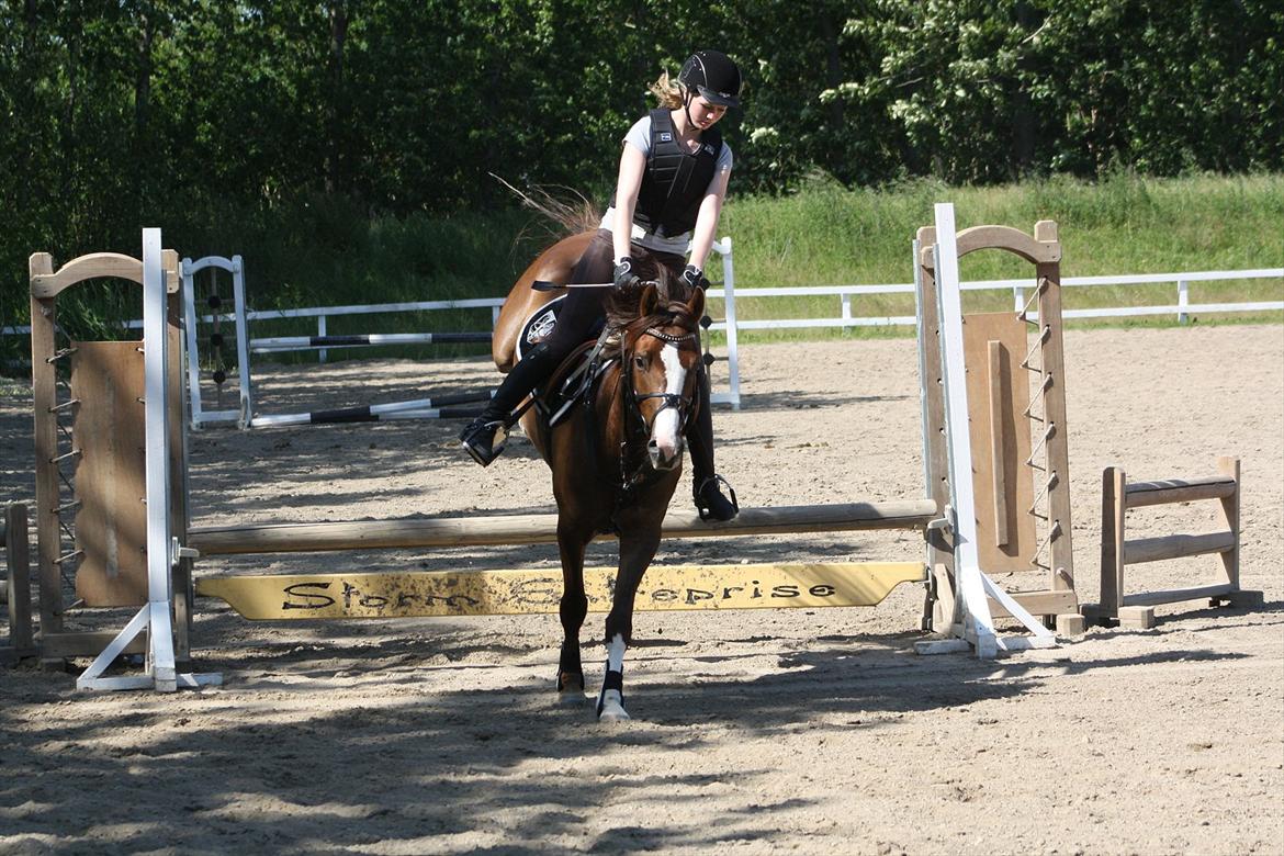 DSP Al Capone DM - jeg klager ikk over hans bagbe ;-) billede 5