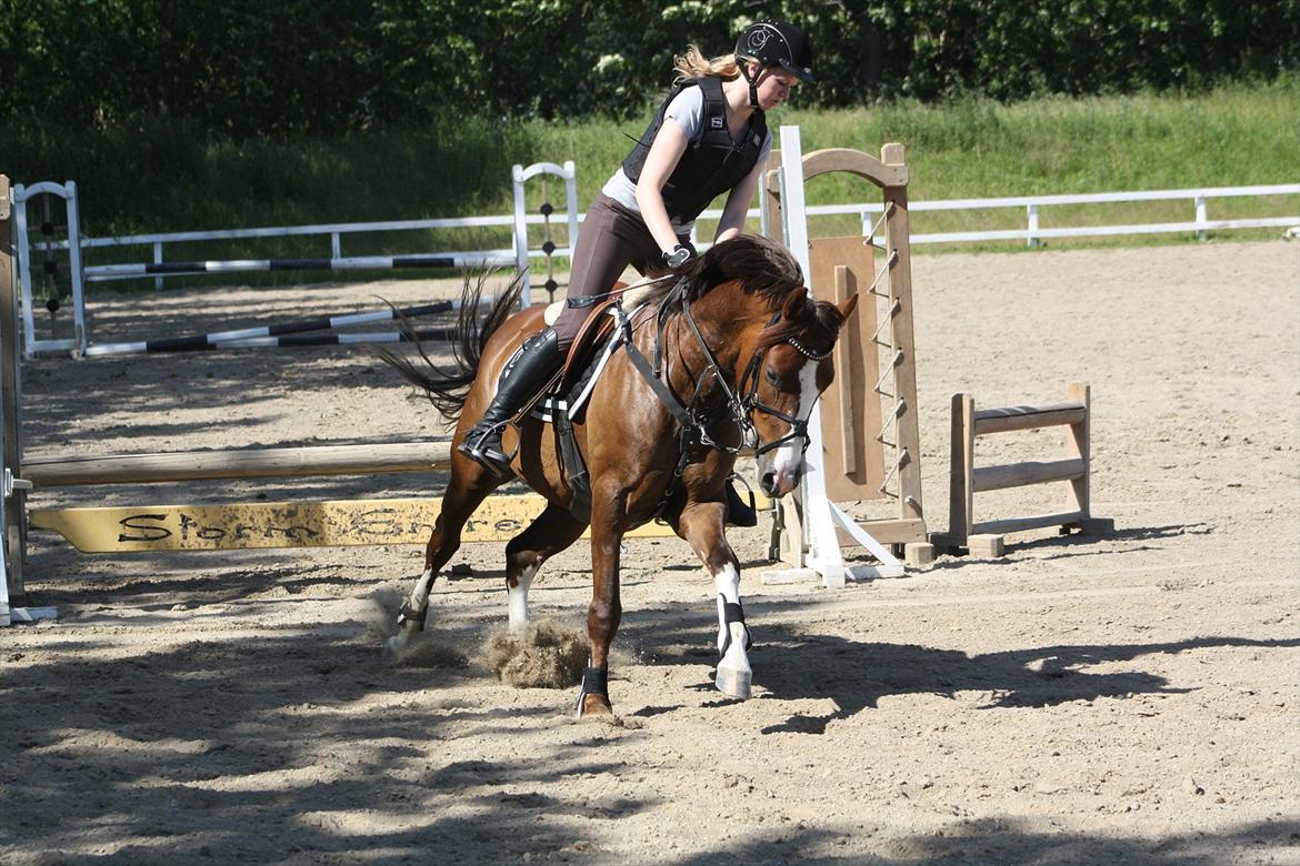 DSP Al Capone DM billede 6