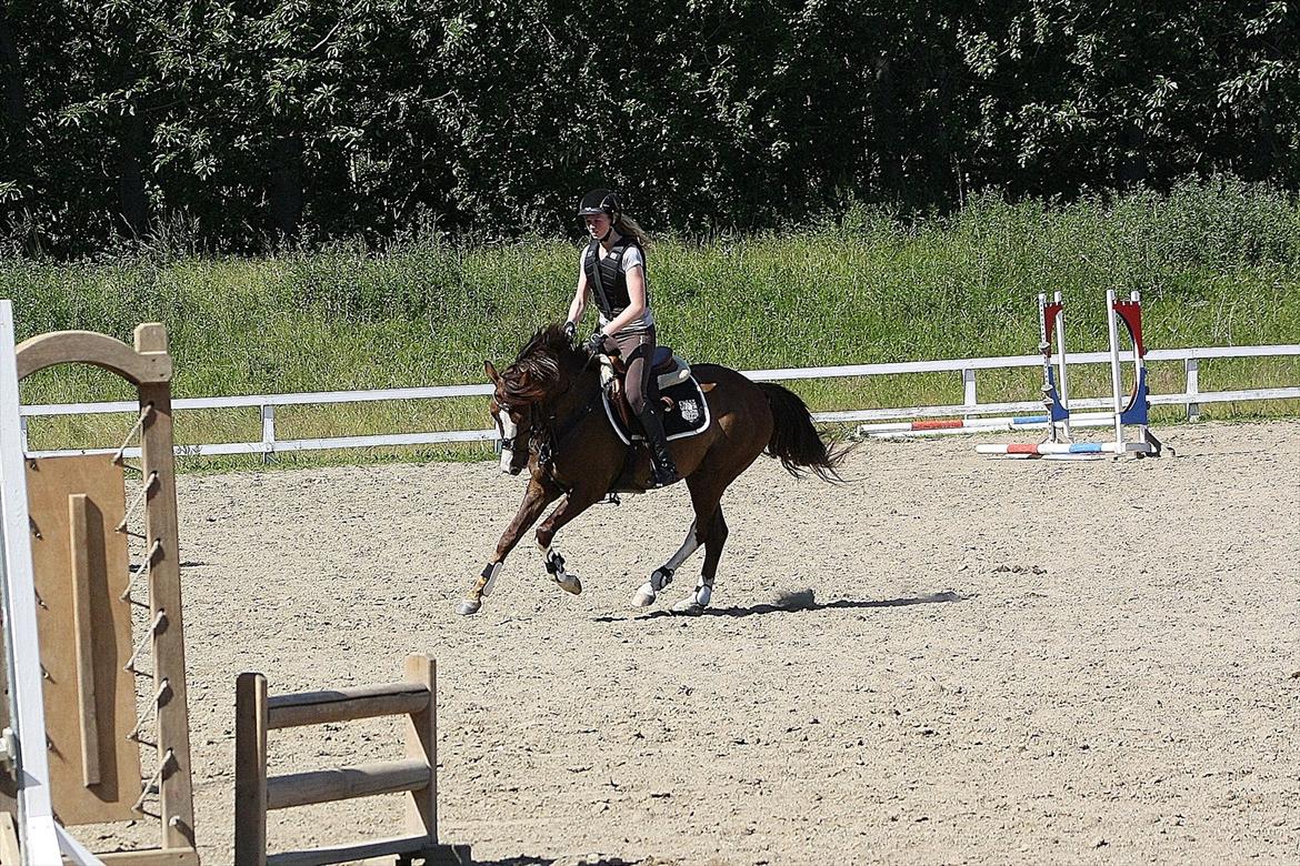 DSP Al Capone DM - LÆKKER! billede 7