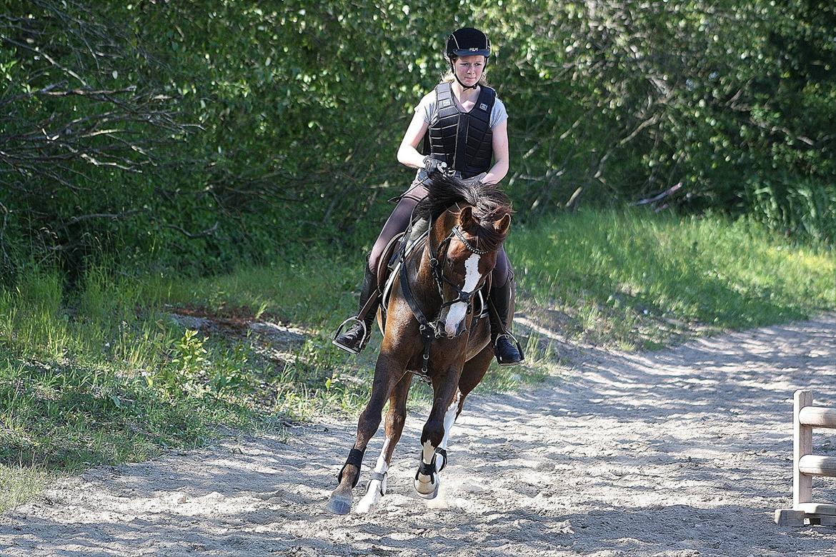 DSP Al Capone DM billede 9