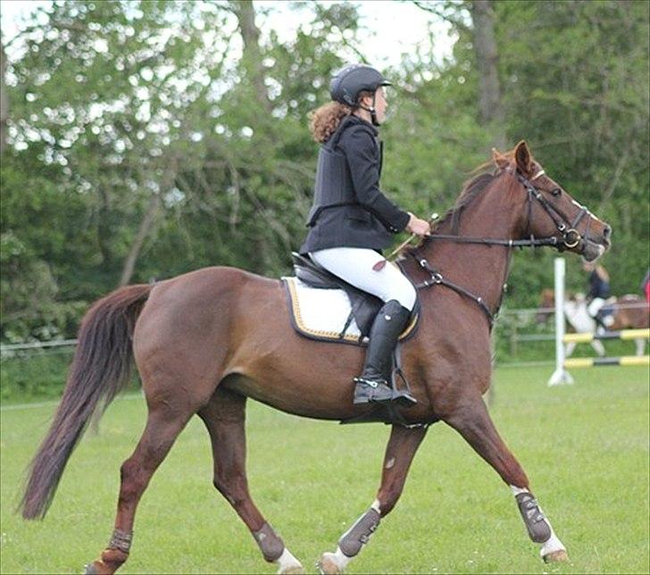 DSP Hope - Killerup, LB**, 2012 billede 3